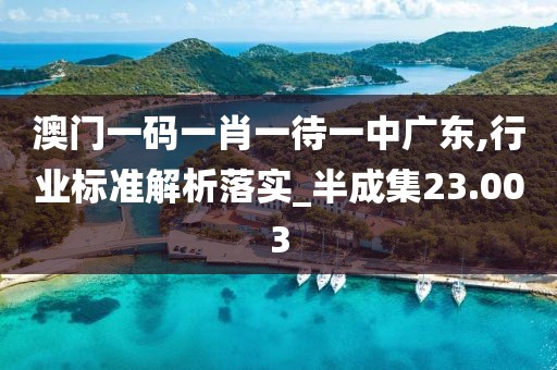 澳门一码一肖一待一中广东,行业标准解析落实_半成集23.003