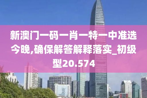 新澳门一码一肖一特一中准选今晚,确保解答解释落实_初级型20.574