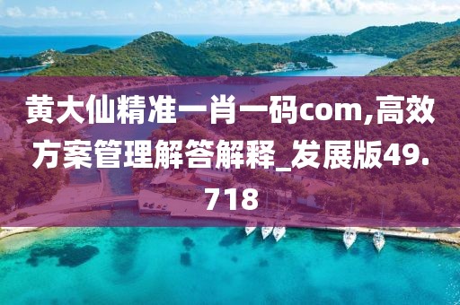 黄大仙精准一肖一码com,高效方案管理解答解释_发展版49.718
