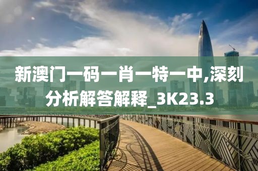 新澳门一码一肖一特一中,深刻分析解答解释_3K23.3