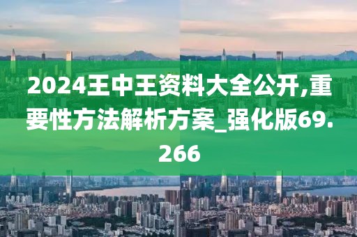 2024王中王资料大全公开,重要性方法解析方案_强化版69.266