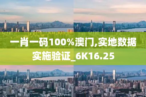 一肖一码100%澳门,实地数据实施验证_6K16.25