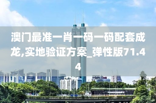 澳门最准一肖一码一码配套成龙,实地验证方案_弹性版71.44