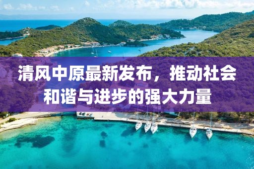 清风中原最新发布，推动社会和谐与进步的强大力量