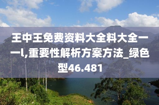 王中王免费资料大全料大全一一l,重要性解析方案方法_绿色型46.481