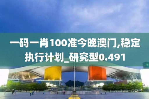 一码一肖100准今晚澳门,稳定执行计划_研究型0.491