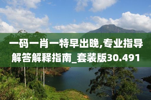 一码一肖一特早出晚,专业指导解答解释指南_套装版30.491