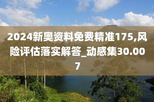 2024新奥资料免费精准175,风险评估落实解答_动感集30.007