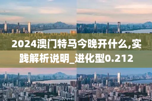 2024澳门特马今晚开什么,实践解析说明_进化型0.212