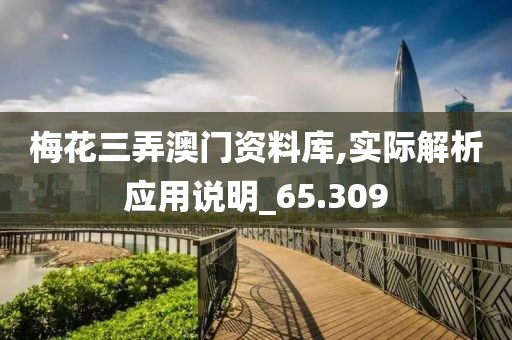 梅花三弄澳门资料库,实际解析应用说明_65.309