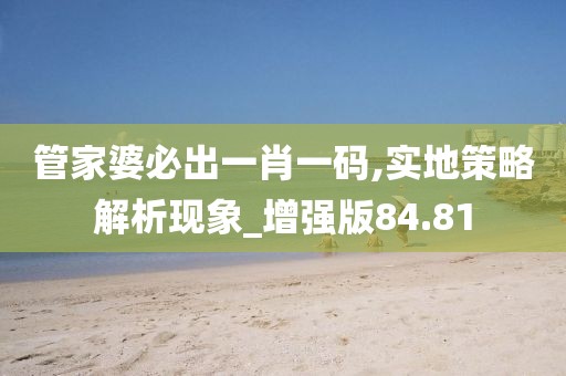 管家婆必出一肖一码,实地策略解析现象_增强版84.81