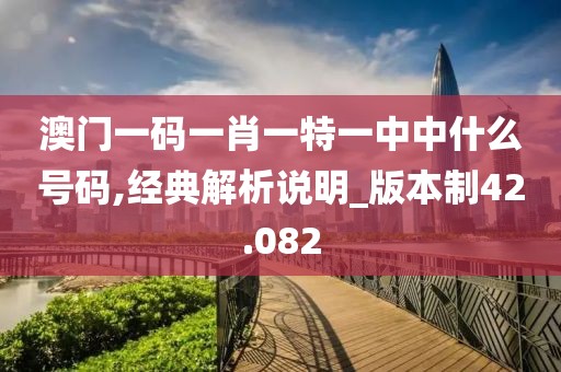 澳门一码一肖一特一中中什么号码,经典解析说明_版本制42.082
