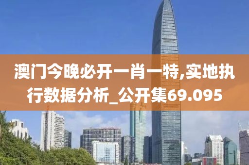 澳门今晚必开一肖一特,实地执行数据分析_公开集69.095