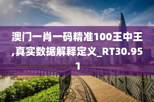 澳门一肖一码精准100王中王,真实数据解释定义_RT30.951