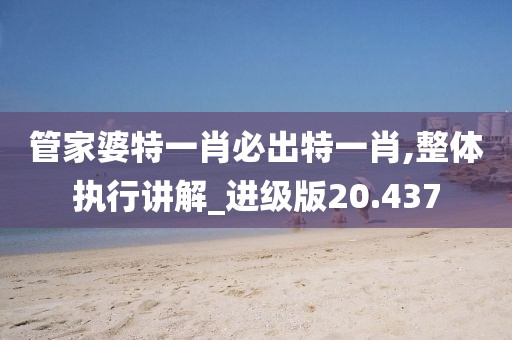 管家婆特一肖必出特一肖,整体执行讲解_进级版20.437