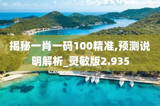 揭秘一肖一码100精准,预测说明解析_灵敏版2.935