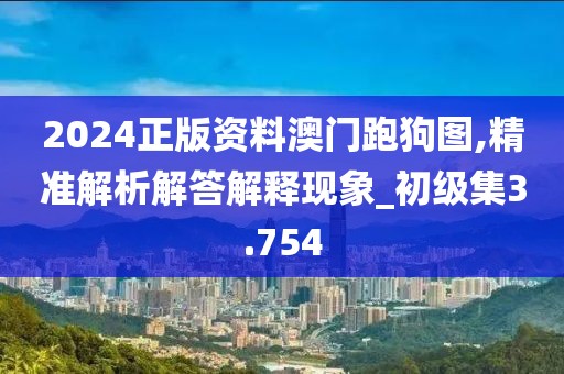 2024正版资料澳门跑狗图,精准解析解答解释现象_初级集3.754