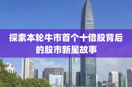 探索本轮牛市首个十倍股背后的股市新星故事