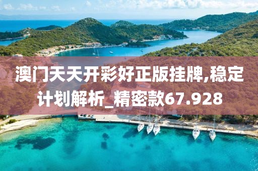 澳门天天开彩好正版挂牌,稳定计划解析_精密款67.928