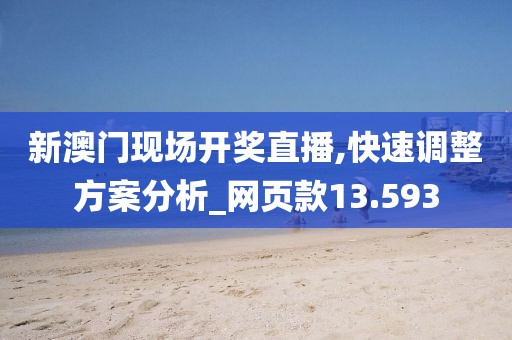 新澳门现场开奖直播,快速调整方案分析_网页款13.593