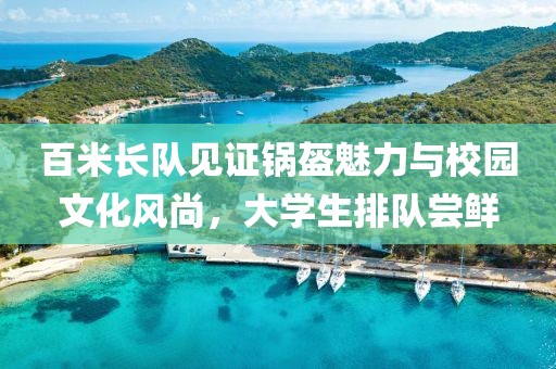百米长队见证锅盔魅力与校园文化风尚，大学生排队尝鲜