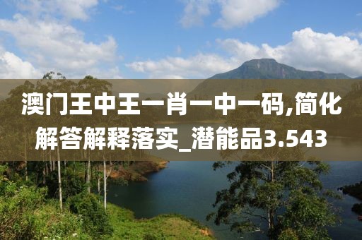 澳门王中王一肖一中一码,简化解答解释落实_潜能品3.543