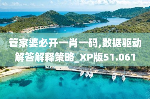 管家婆必开一肖一码,数据驱动解答解释策略_XP版51.061