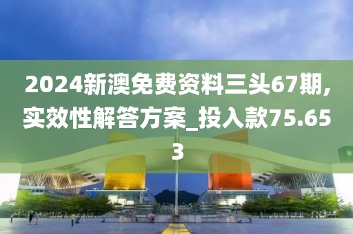 2024新澳免费资料三头67期,实效性解答方案_投入款75.653