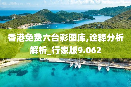 香港免费六台彩图库,诠释分析解析_行家版9.062