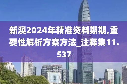 新澳2024年精准资料期期,重要性解析方案方法_注释集11.537