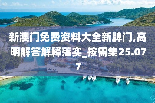新澳门免费资料大全新牌门,高明解答解释落实_按需集25.077