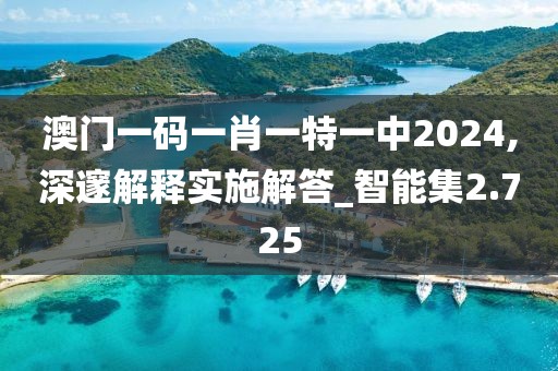 澳门一码一肖一特一中2024,深邃解释实施解答_智能集2.725