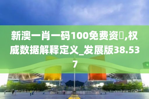 新澳一肖一码100免费资枓,权威数据解释定义_发展版38.537