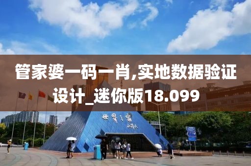 管家婆一码一肖,实地数据验证设计_迷你版18.099