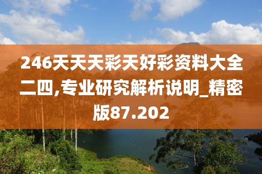 246天天天彩天好彩资料大全二四,专业研究解析说明_精密版87.202