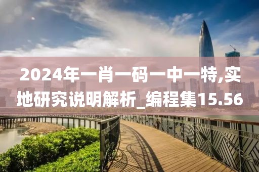 2024年一肖一码一中一特,实地研究说明解析_编程集15.56