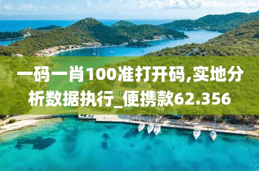 一码一肖100准打开码,实地分析数据执行_便携款62.356