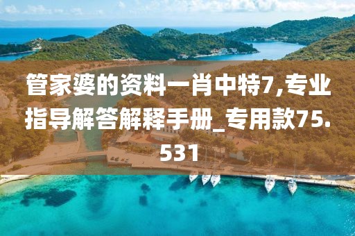 管家婆的资料一肖中特7,专业指导解答解释手册_专用款75.531