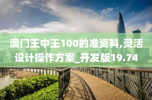 澳门王中王100的准资料,灵活设计操作方案_开发版19.74