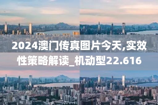 2024澳门传真图片今天,实效性策略解读_机动型22.616