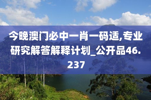 今晚澳门必中一肖一码适,专业研究解答解释计划_公开品46.237