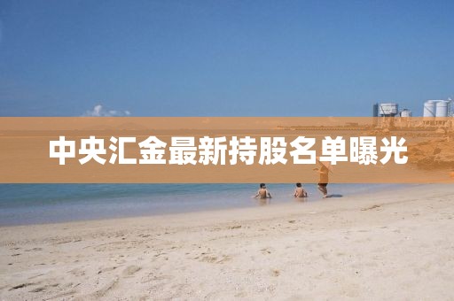 中央汇金最新持股名单曝光