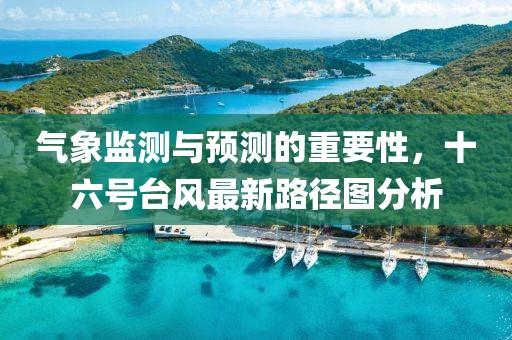气象监测与预测的重要性，十六号台风最新路径图分析
