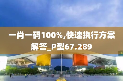 一肖一码100%,快速执行方案解答_P型67.289