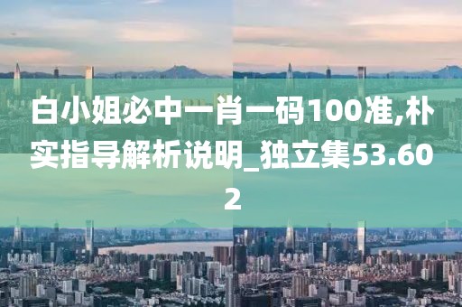 白小姐必中一肖一码100准,朴实指导解析说明_独立集53.602