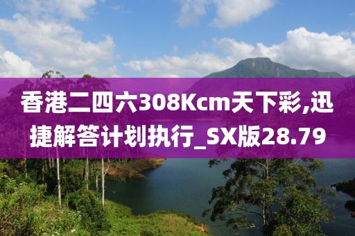 香港二四六308Kcm天下彩,迅捷解答计划执行_SX版28.79