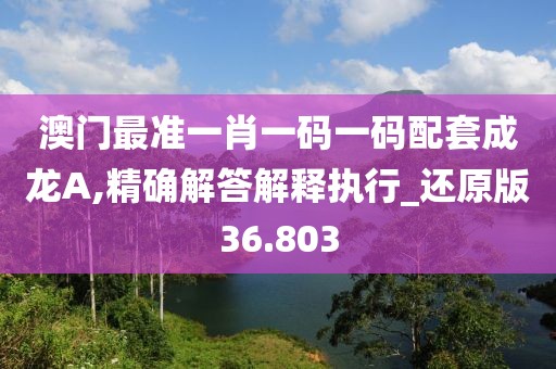 澳门最准一肖一码一码配套成龙A,精确解答解释执行_还原版36.803