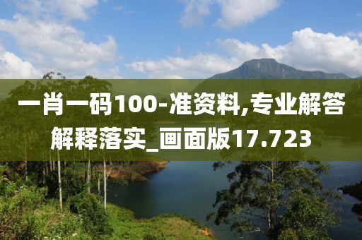 一肖一码100-准资料,专业解答解释落实_画面版17.723
