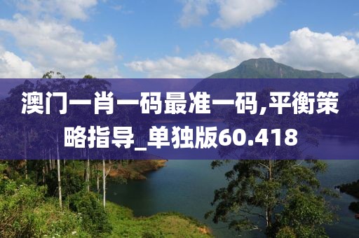 澳门一肖一码最准一码,平衡策略指导_单独版60.418