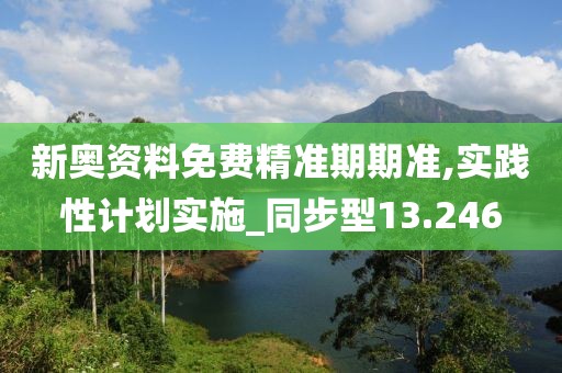 新奥资料免费精准期期准,实践性计划实施_同步型13.246